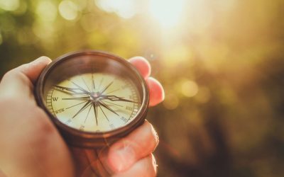 Transformation im Mittelstand: Warum Werte entscheiden